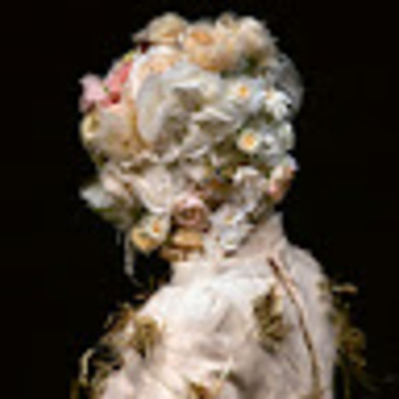 Meet your Posher, Vivian - Picture 1 of 1